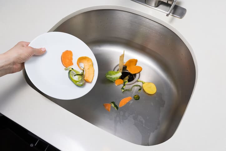 food scraps in sink